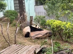 -南宁市动物园
