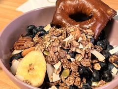 -WHEN PIGS FLY当猪飞