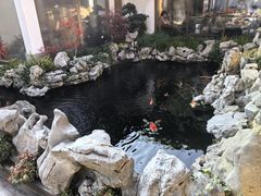 -鲤院·新中式美学·庭院餐厅(夫子庙店)