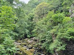 -香炉山国家森林公园