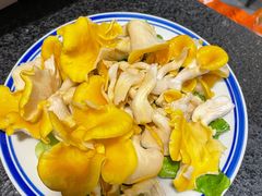 -财神鸡煲(华强北店)