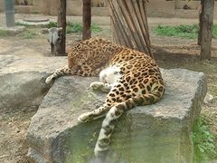 -济南野生动物世界