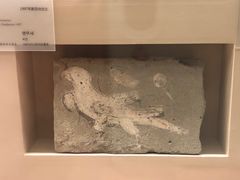 -敦煌市博物馆