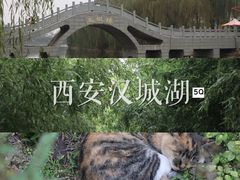 -西安汉城湖景区