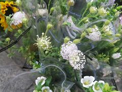 -大洋晶典(东街店)