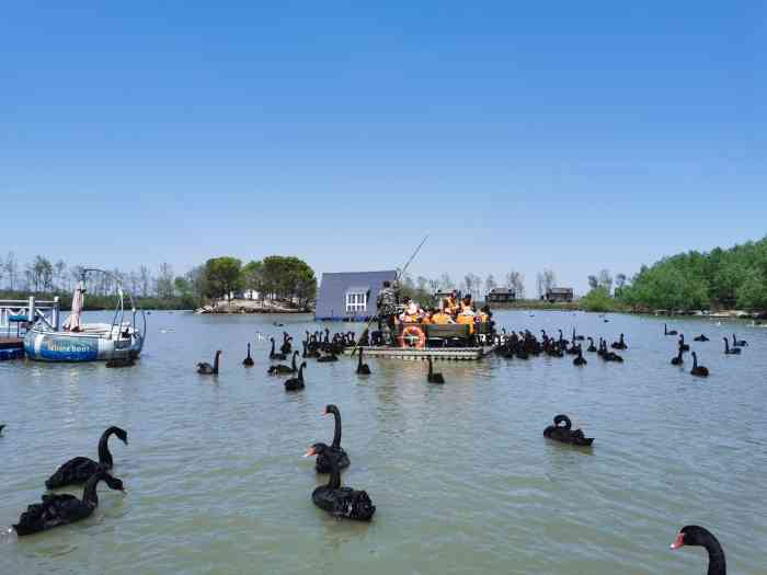 大千天鵝湖莊園