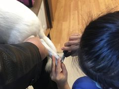 -宠福鑫动物医院·动物疾病诊疗中心(天通苑店)