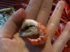 -霸王虾·小龙虾香辣蟹(玉林店)
