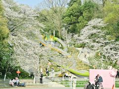 -杭州少年儿童公园