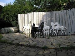 -白马涧龙池景区