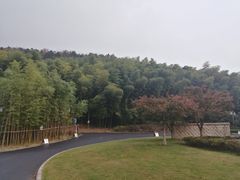 -苏州环秀晓筑养生度假村