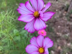 -河南大学(龙子湖校区)