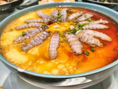 -陈傻子餐厅(世纪都会店)