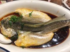 -陈鹏鹏潮汕菜(欢乐海岸 海边景观店)