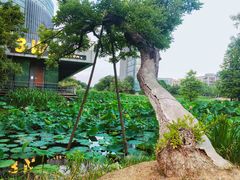 -3W咖啡(国家软件园店)