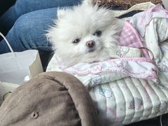 -盱眙虾怪·旗舰店