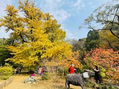 -香山公园