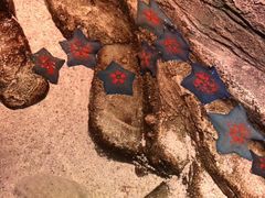 -沈阳海洋探索中心