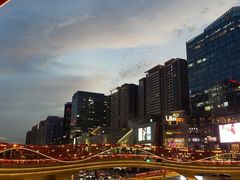 -合景·悠方(成都店)