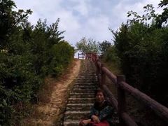 -南丫岛