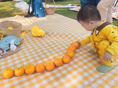 -杭州城北体育公园