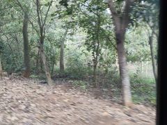 -龙谷湾旅游休闲度假区