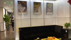 -崇尚GAVIN STYLE臻选