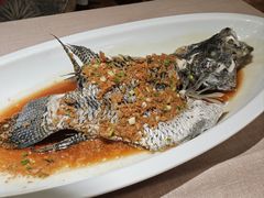 头抽蒸淡水石斑鱼-尚一汤·粤菜海鲜(环球港店)