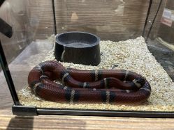 -Zoolung Zoolung动物主题公园(海信广场店)