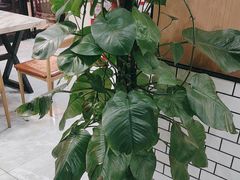 -尚岛私房菜(西方巷店)