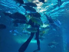-常州海昌海洋探索馆