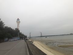 -东寨港红树林旅游区