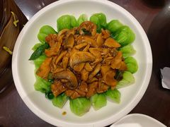 蘑菇菜心-德兴馆(广东路总店)