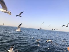 -大连海昌东方水城