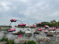 -荷兰花海