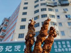 -景泰马记电烤串(景泰店)