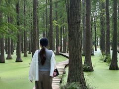 -渌洋湖湿地公园