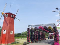 -大蜀山国家森林公园