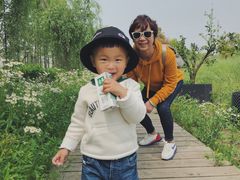 -前小桔亲子创意农场·草莓采摘·露营烧烤