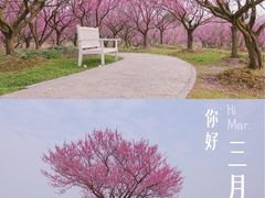 -花开海上生态园