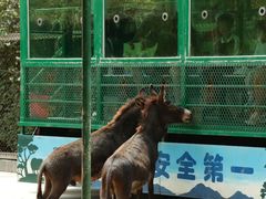 -五龙山野生动物王国