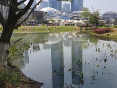 -花果园湿地公园