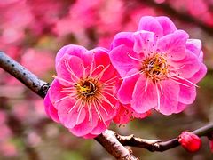 -白塘生态植物园