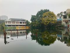 -成裕雪糕店(士多店)