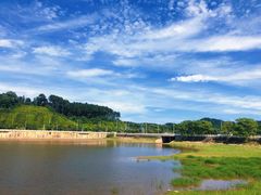 -青龙山国家森林公园