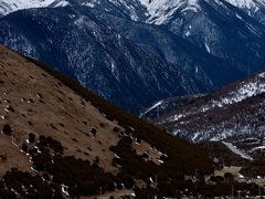 -亚拉雪山风景区