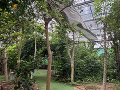 -呀路古热带植物园