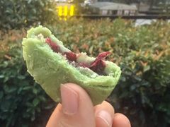 -龙湖·春森彼岸