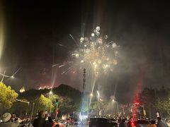 -中集金地美兰城