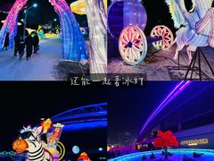-沈阳奥体冰雪嘉年华